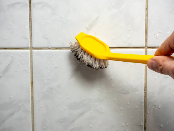 Best Toxic Mold Removal  in Vinton, VA