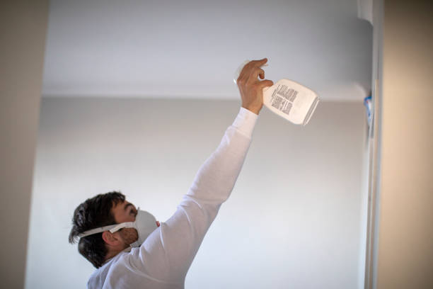 Best Office Mold Removal Services  in Vinton, VA