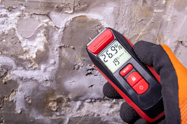 Best Home Mold Removal  in Vinton, VA