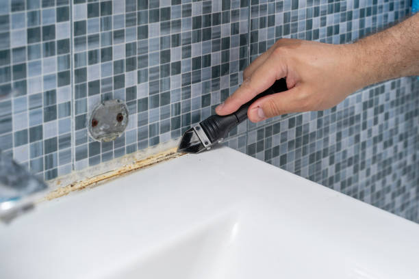  Vinton, VA Mold Removal Pros