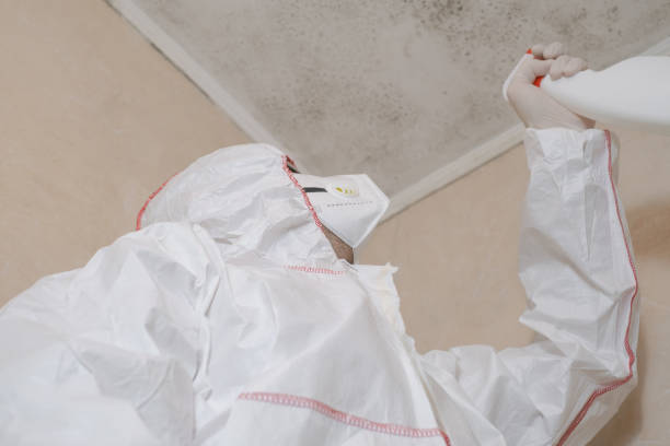 Best Mold Inspection  in Vinton, VA