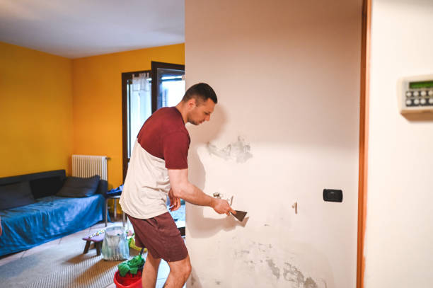 Best Mold Removal and Inspection  in Vinton, VA